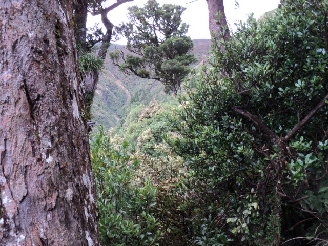 Name:  picture 3963.jpg
Views: 234
Size:  165.3 KB