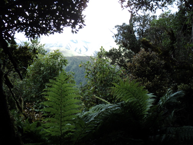 Name:  picture 3964.jpg
Views: 244
Size:  164.8 KB