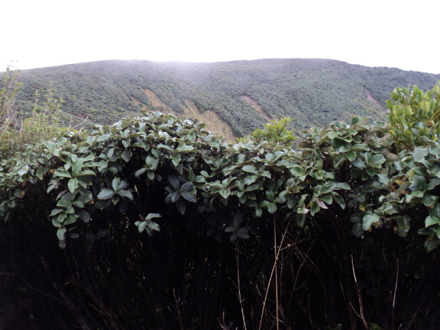 Name:  picture 3965.jpg
Views: 203
Size:  164.4 KB