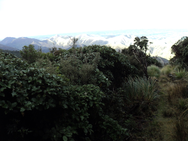 Name:  picture 3966.jpg
Views: 198
Size:  164.4 KB