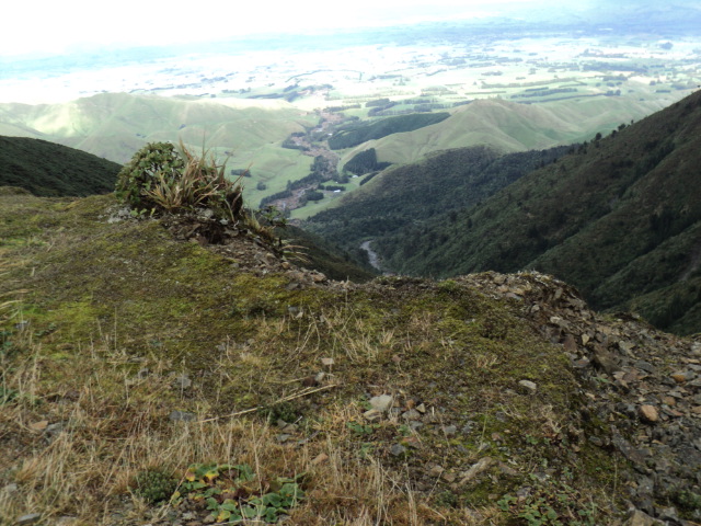 Name:  picture 3974.jpg
Views: 206
Size:  165.2 KB