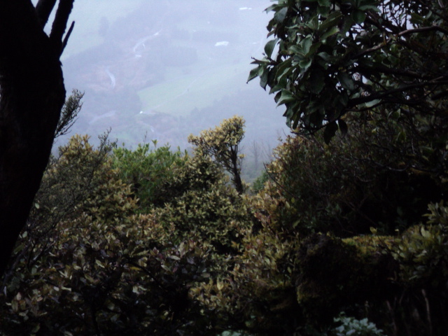 Name:  picture 3978.jpg
Views: 219
Size:  165.2 KB