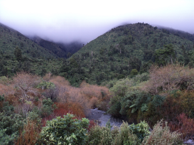 Name:  picture 3981.jpg
Views: 202
Size:  163.9 KB