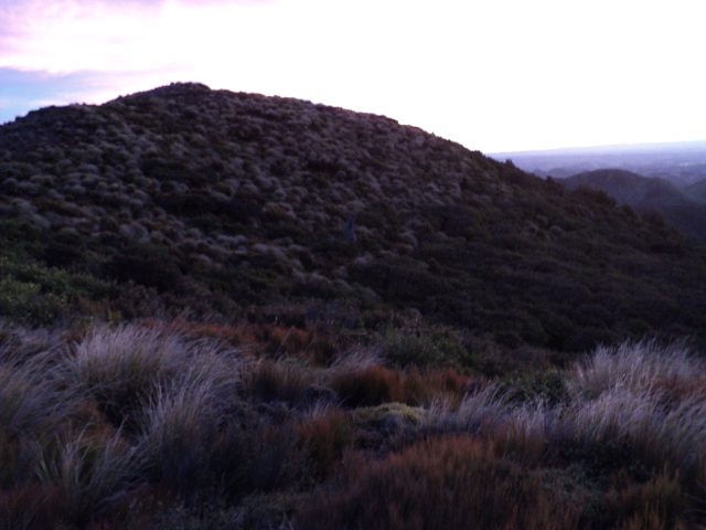 Name:  picture 3991.jpg
Views: 783
Size:  157.9 KB