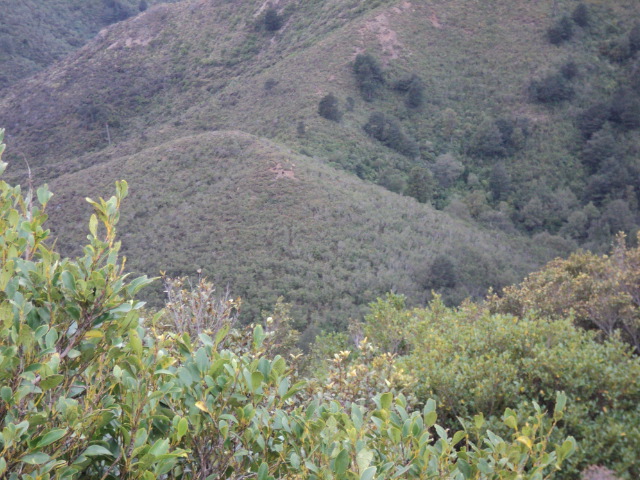 Name:  picture 3999.jpg
Views: 768
Size:  163.1 KB