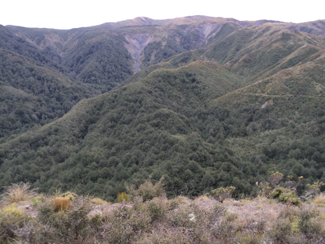 Name:  picture 4003.jpg
Views: 688
Size:  164.8 KB