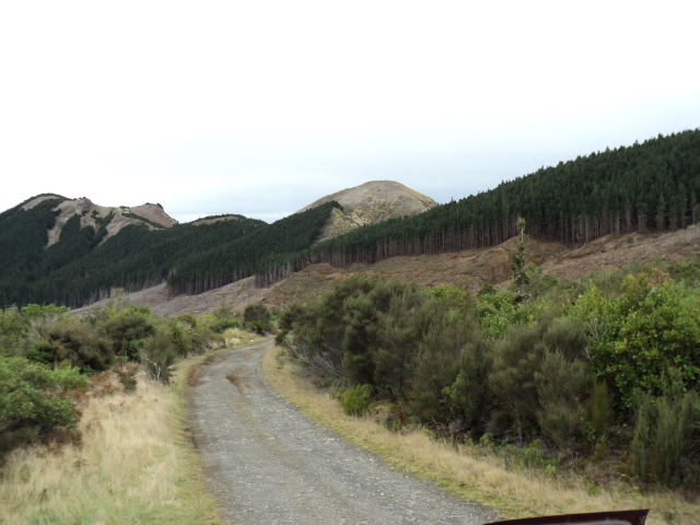 Name:  picture 4006.jpg
Views: 719
Size:  165.3 KB