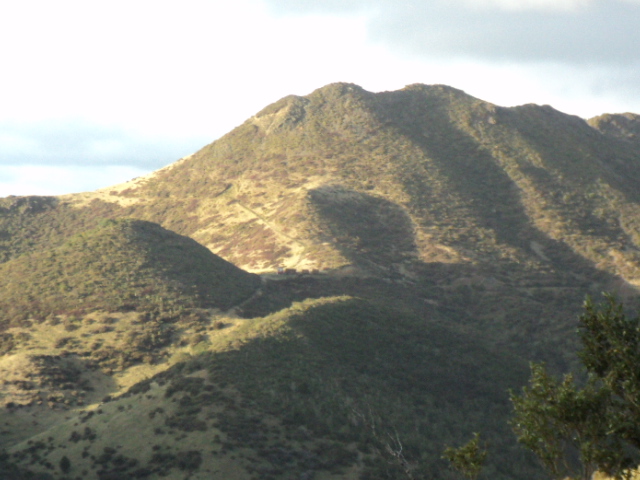 Name:  picture 4013.jpg
Views: 726
Size:  165.0 KB