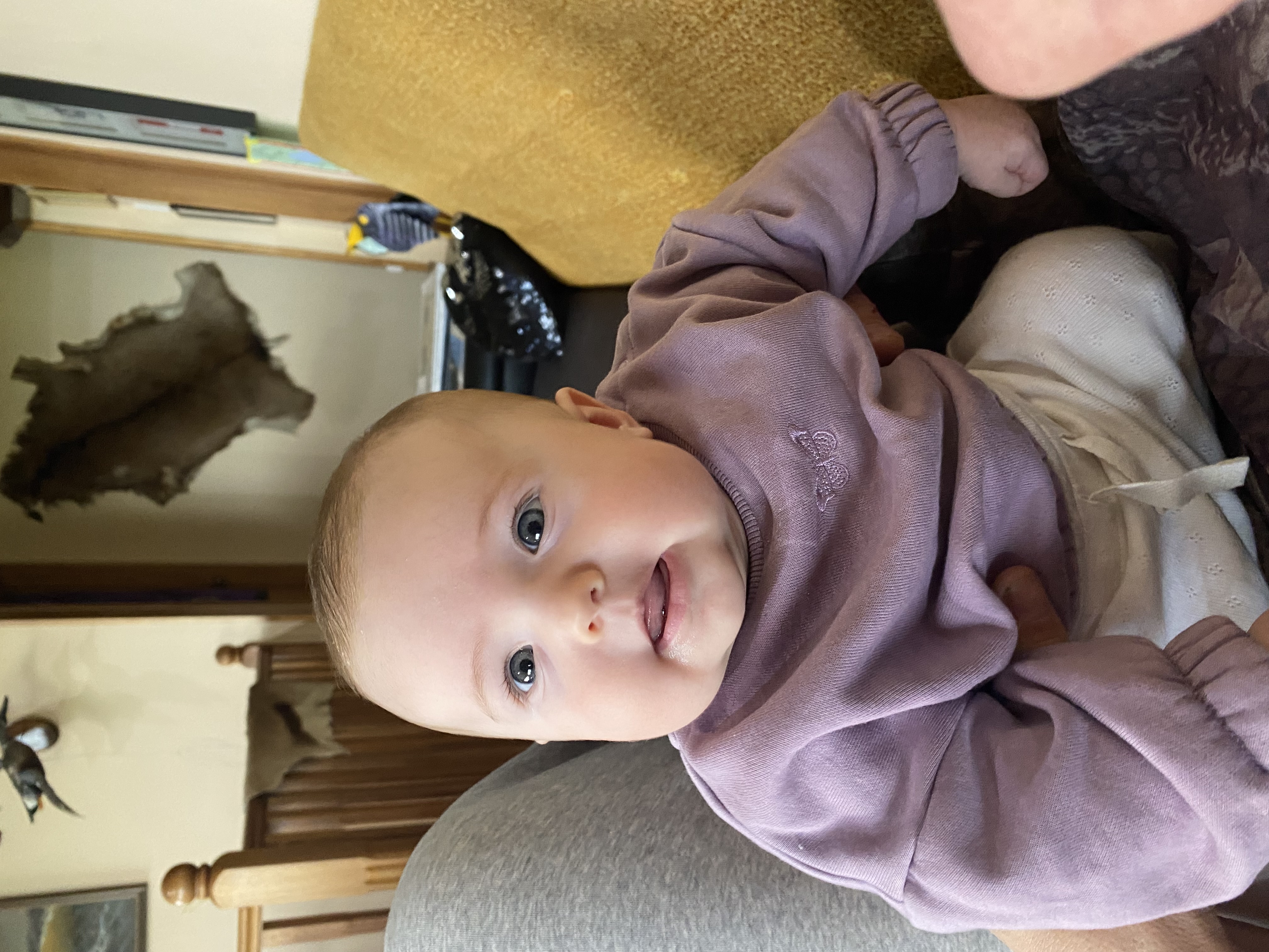 Name:  IMG_1680.jpeg
Views: 443
Size:  2.58 MB