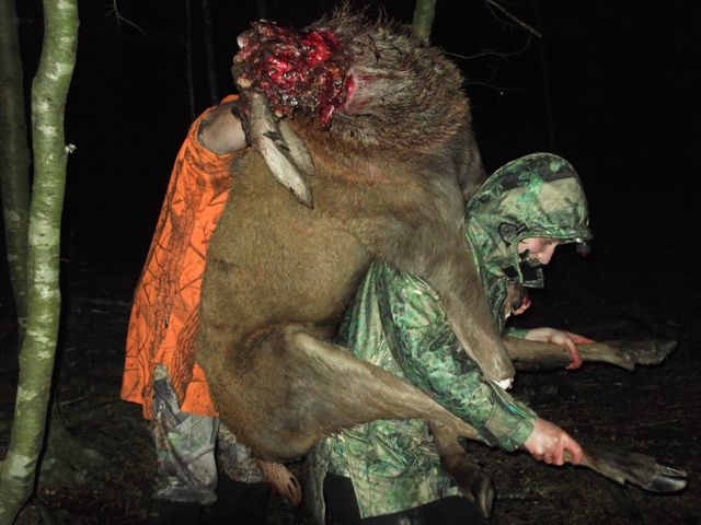 Name:  Dougies Trip 012.jpg
Views: 891
Size:  56.5 KB