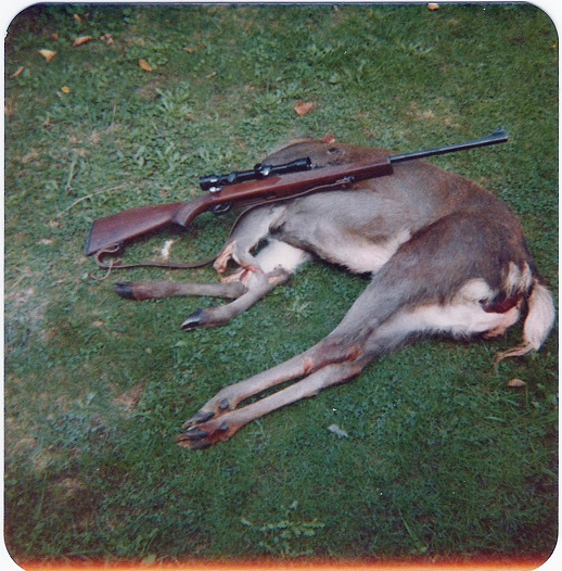 Name:  Tikka LSA55.jpg
Views: 605
Size:  137.1 KB
