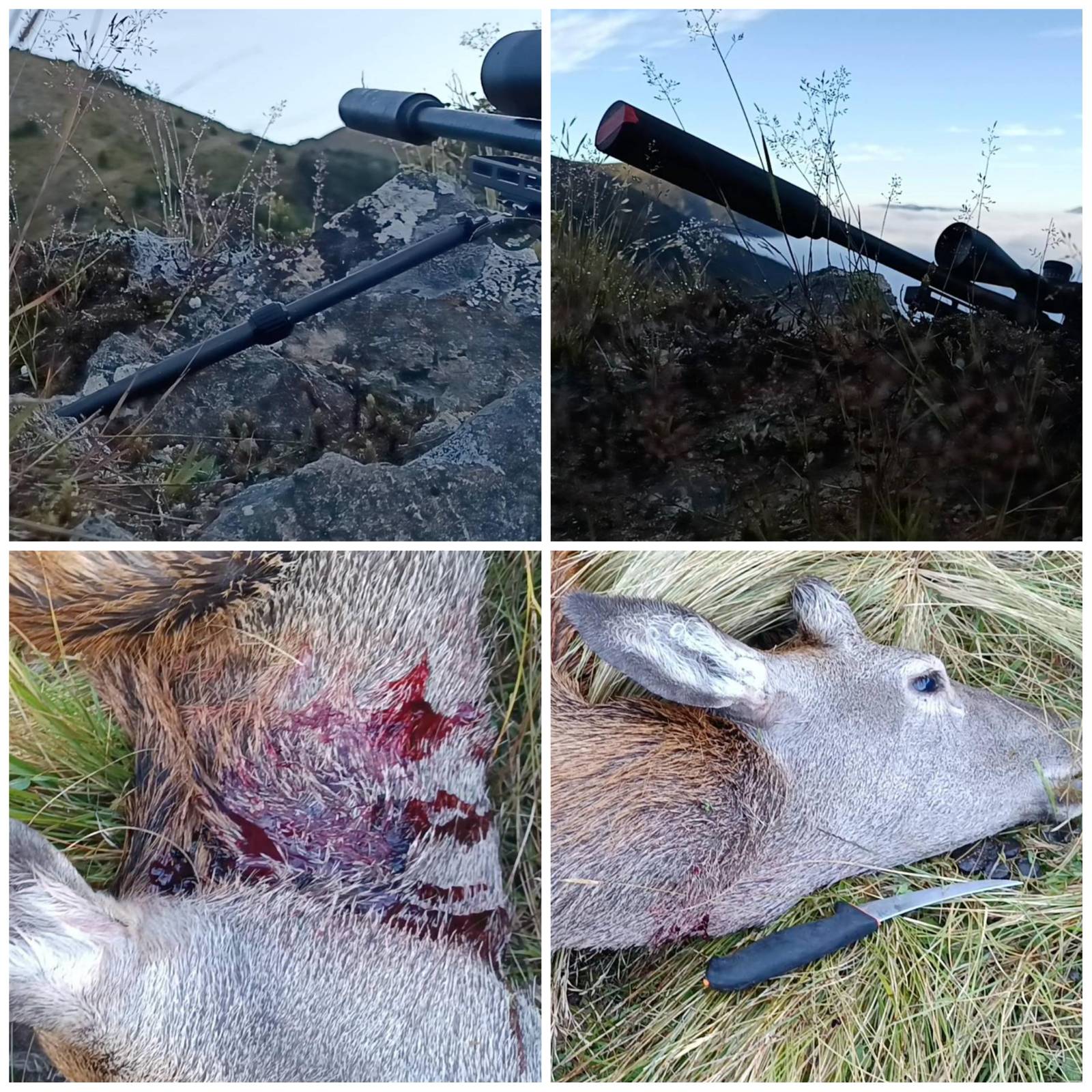 Name:  SoloDeer-TripReport2.jpeg
Views: 618
Size:  428.0 KB
