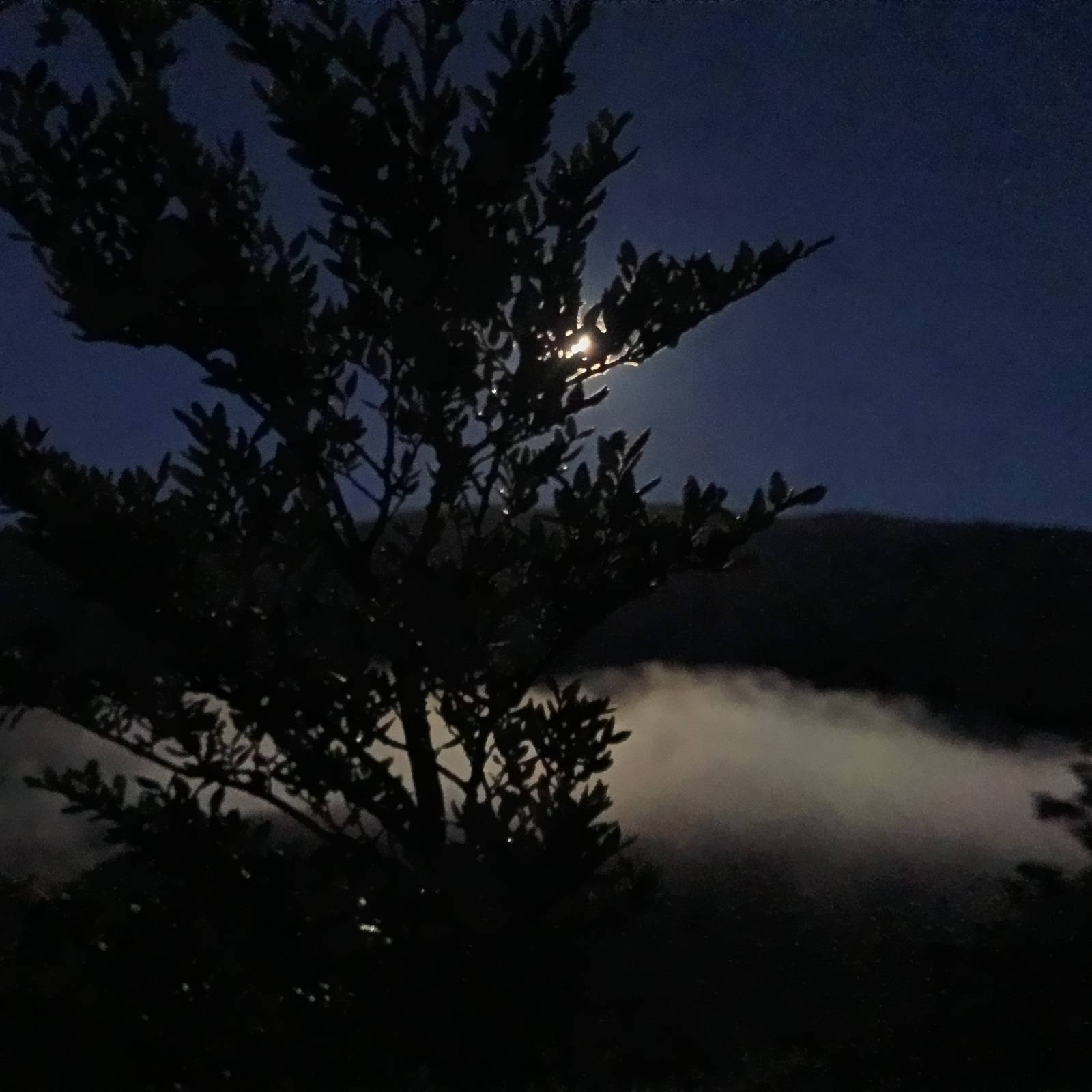 Name:  MoonAboveFog-TripReport2.jpeg
Views: 603
Size:  133.7 KB
