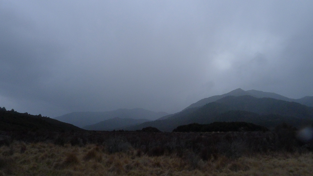 Name:  P1020656.JPG
Views: 479
Size:  294.4 KB