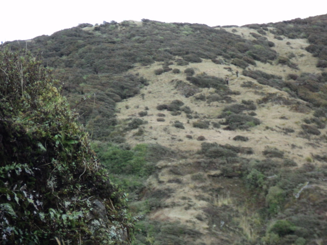 Name:  picture 4155.jpg
Views: 322
Size:  163.7 KB