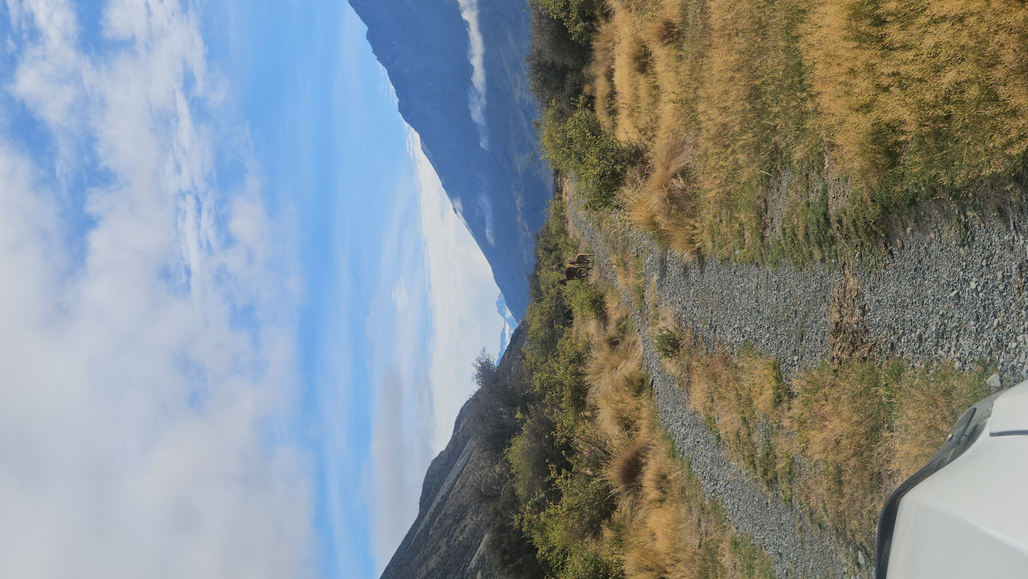 Name:  20250325_105002.jpg
Views: 659
Size:  2.47 MB