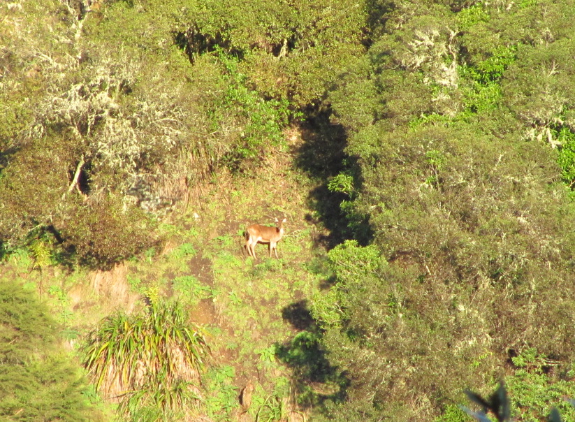 Name:  IMG_3115.JPG
Views: 644
Size:  429.4 KB