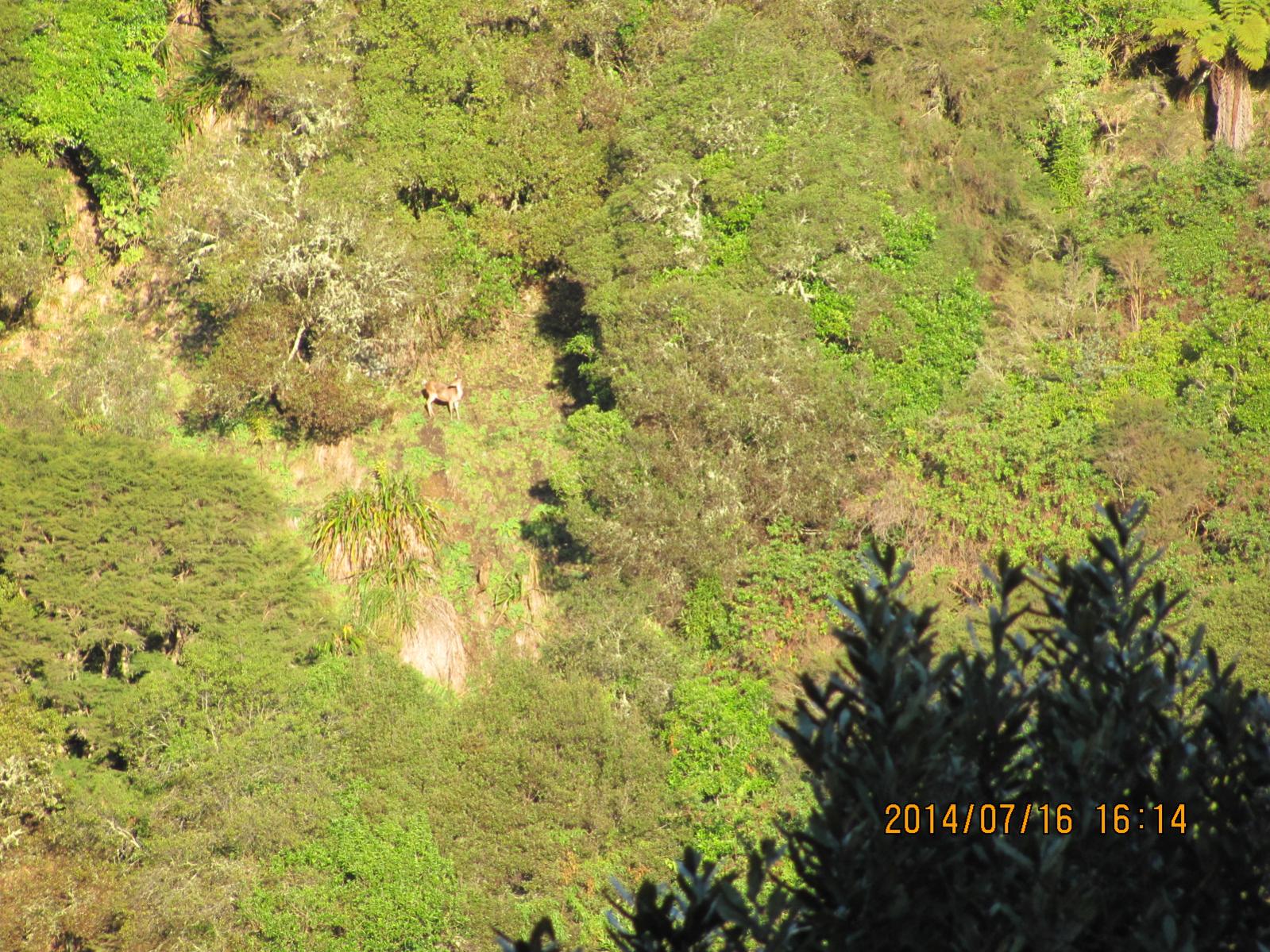 Name:  IMG_3102.jpg
Views: 653
Size:  449.8 KB