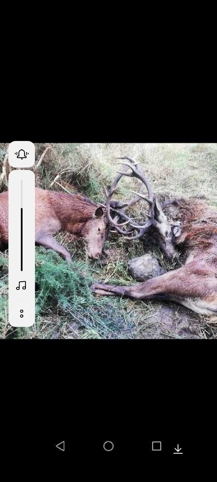 Name:  Screenshot_2023-08-17-07-23-19-75_cf3cf72bd8e53b0db7ddb0a6f2208af9.jpg
Views: 442
Size:  398.4 KB