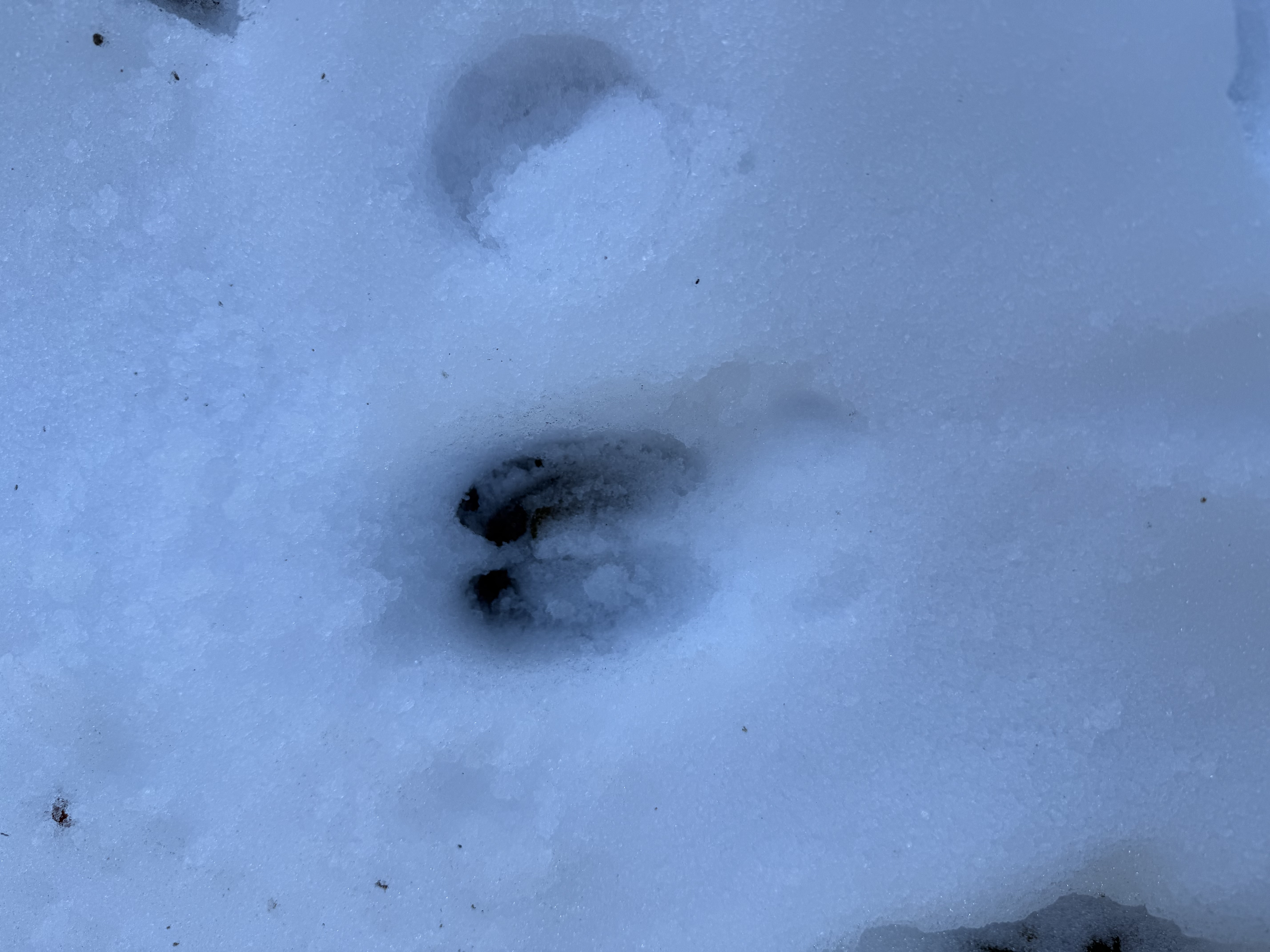 Name: IMG_6041.jpeg
Views: 529
Size: 3.27 MB