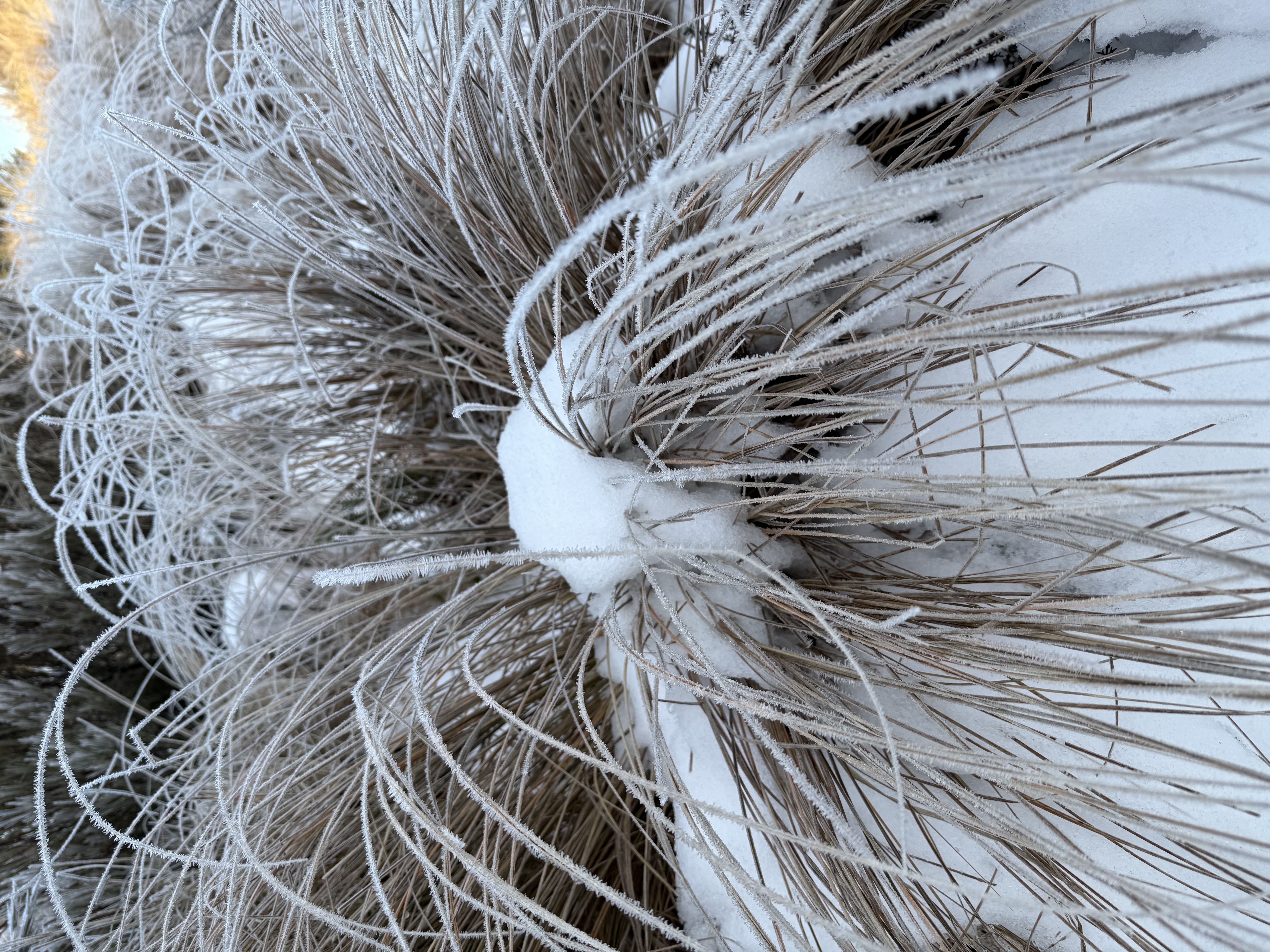 Name: IMG_6051.jpeg
Views: 523
Size: 6.07 MB