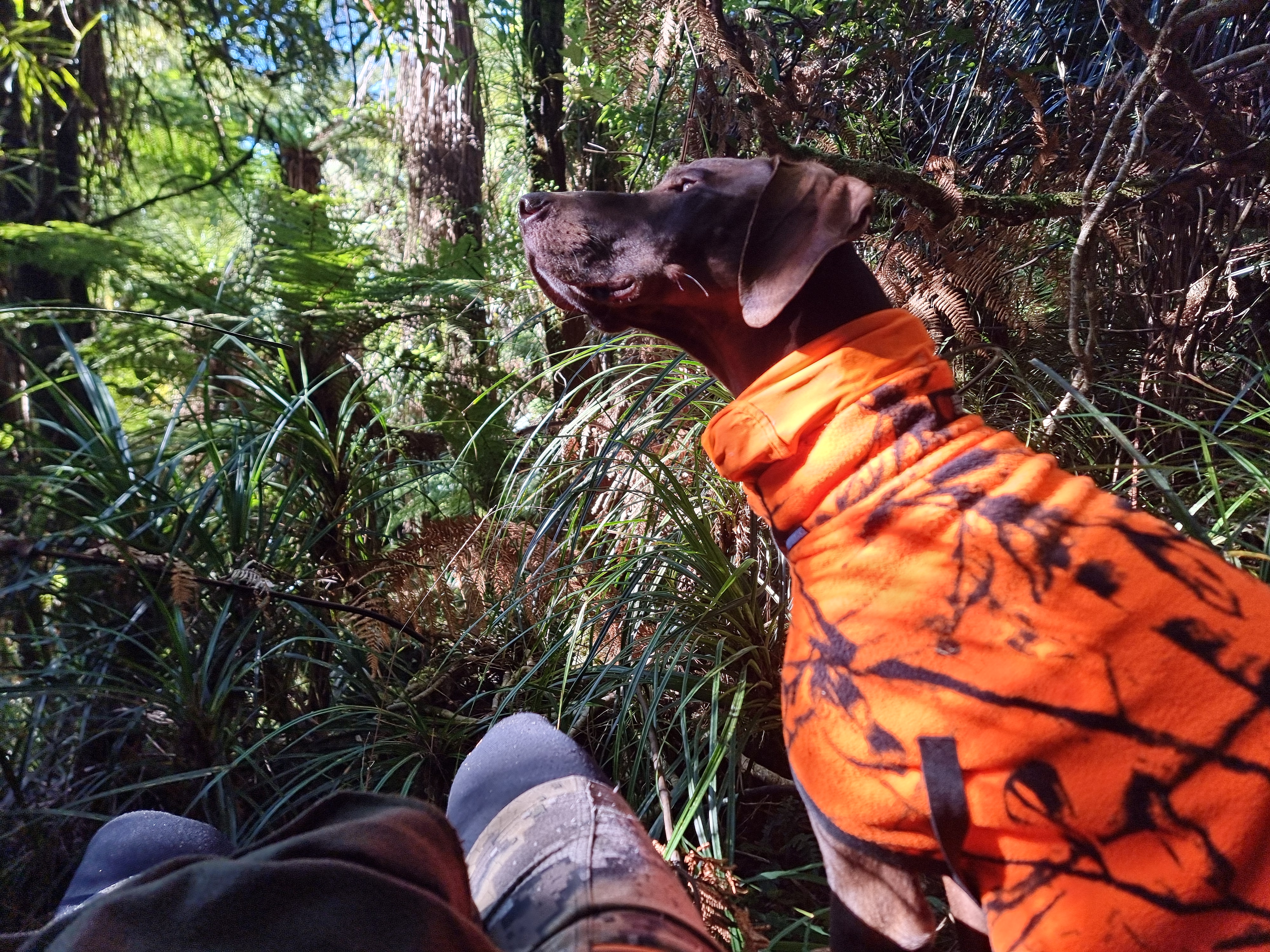 Name:  B.jpg
Views: 555
Size:  5.50 MB