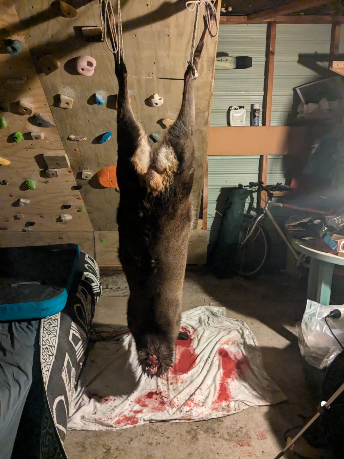 Name:  IMG-20250702-WA0003.jpg
Views: 341
Size:  213.6 KB