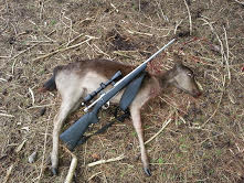 Name:  woodhill.jpg
Views: 627
Size:  18.1 KB