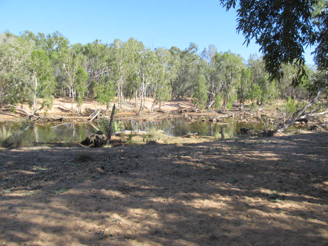 Name:  Gibb River Road 056.JPG
Views: 321
Size:  94.9 KB