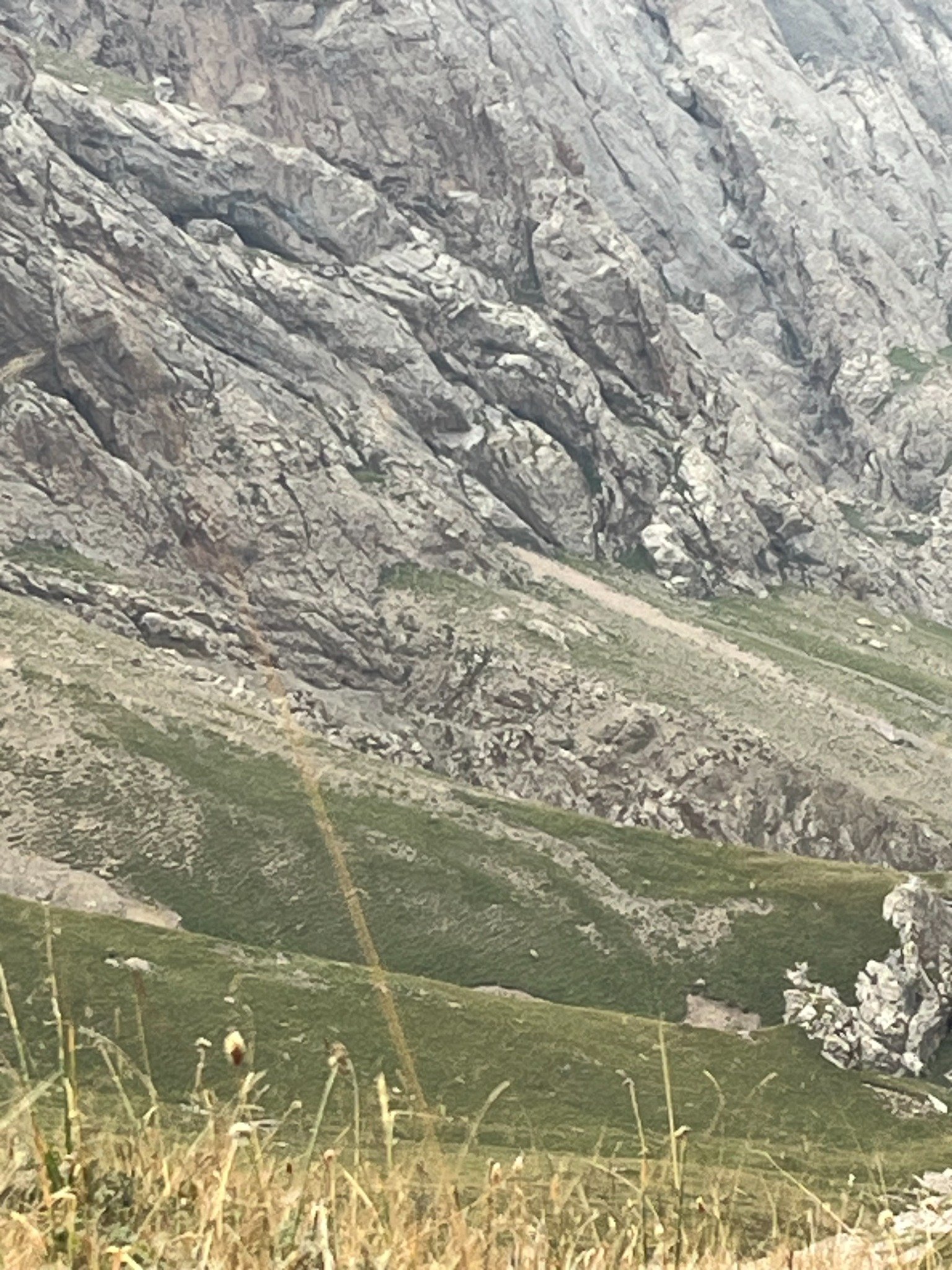 Name:  IMG_1681.jpg
Views: 423
Size:  638.7 KB