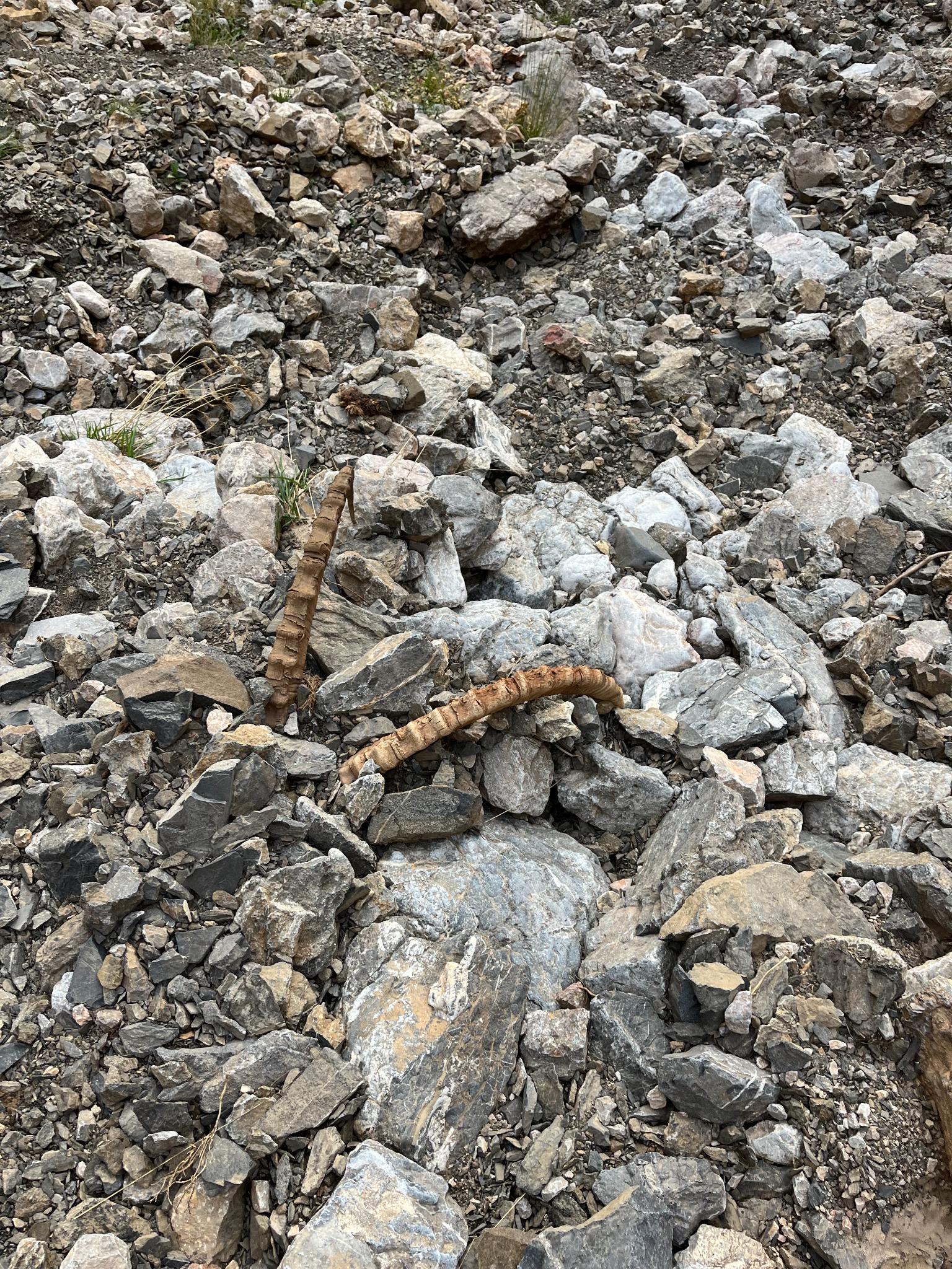 Name:  IMG_1687 (1).jpg
Views: 424
Size:  976.8 KB