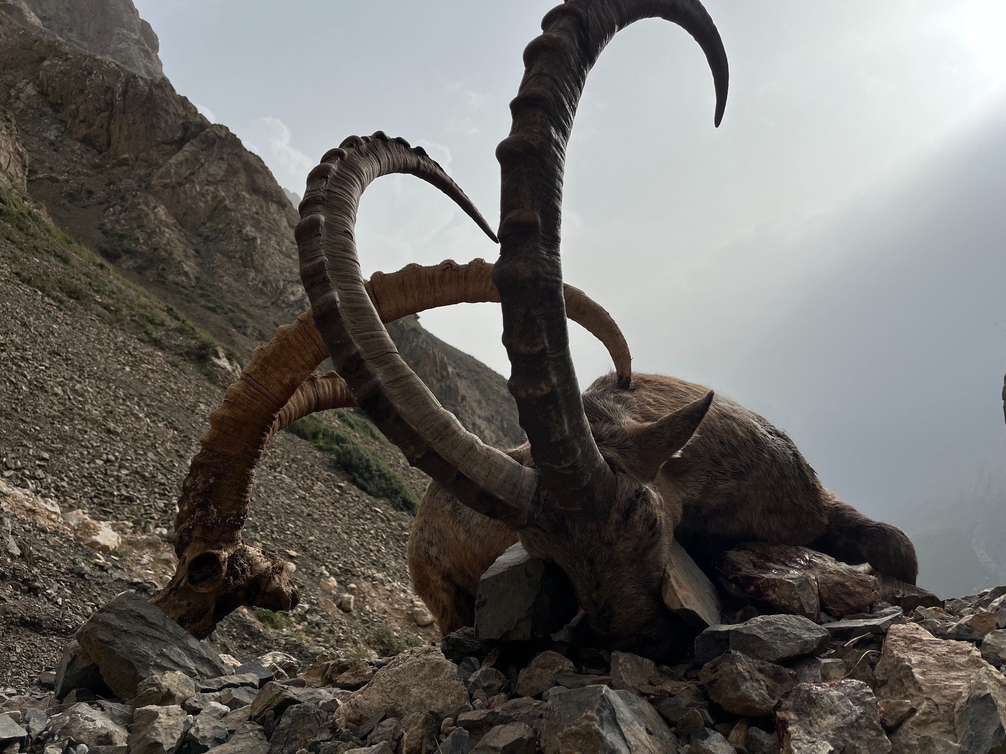 Name:  IMG_1722.jpg
Views: 420
Size:  659.6 KB