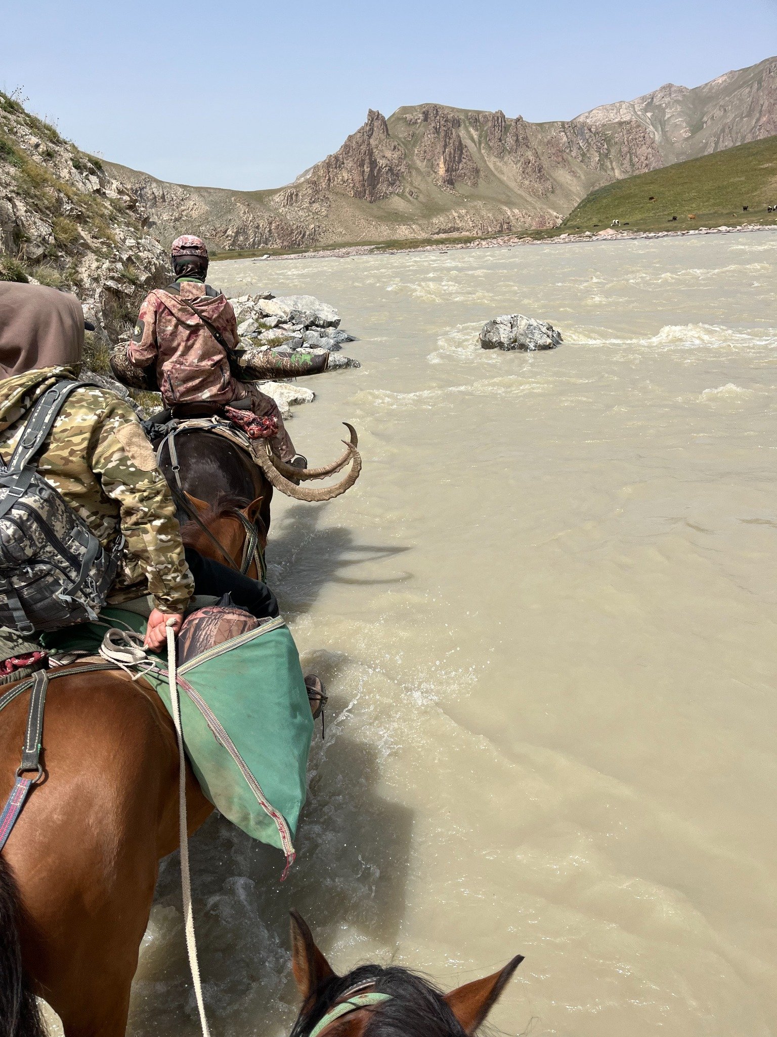 Name:  IMG_1764.jpg
Views: 424
Size:  781.3 KB