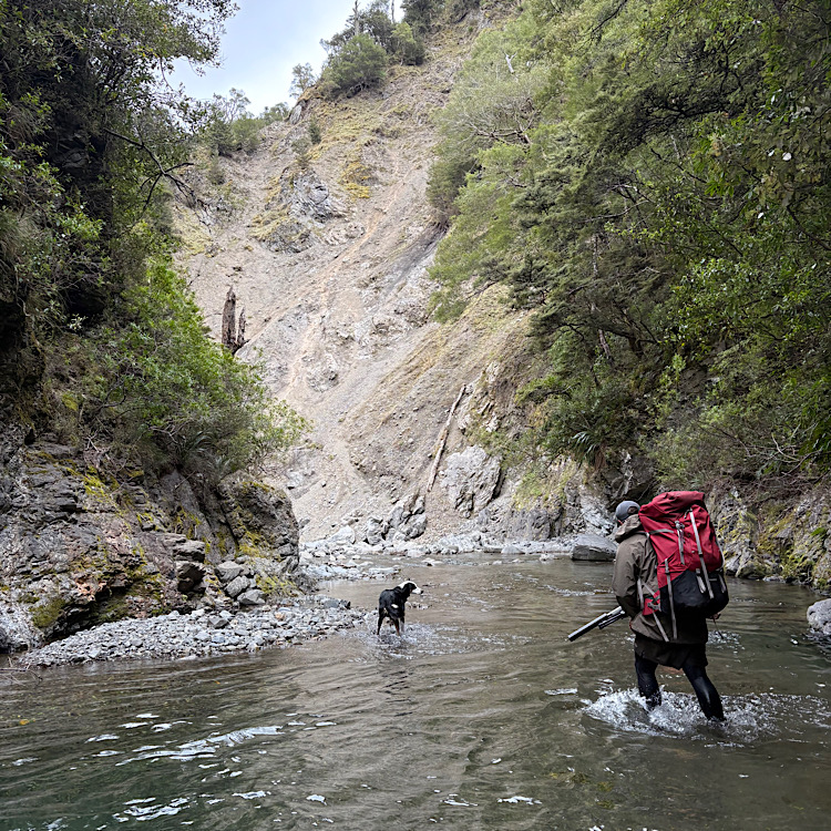 Name:  IMG_7776.jpeg
Views: 402
Size:  381.0 KB