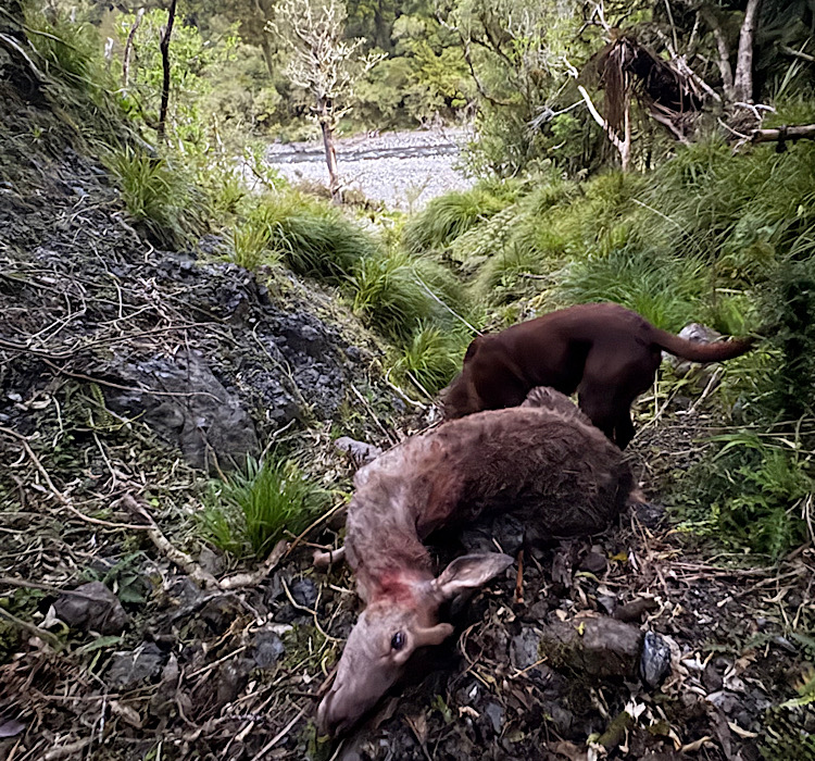 Name:  IMG_7779.jpeg
Views: 404
Size:  342.3 KB