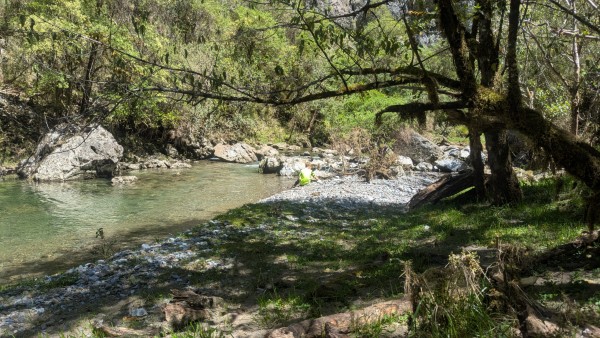 Name:  6.jpg
Views: 248
Size:  103.9 KB