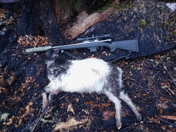 Name:  17.jpg
Views: 336
Size:  123.3 KB