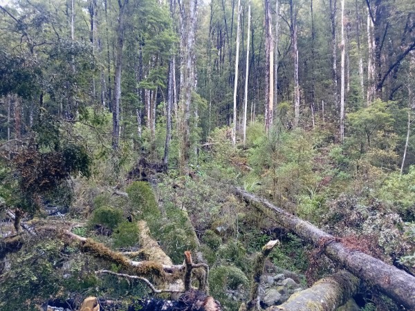 Name:  15.jpg
Views: 334
Size:  140.4 KB