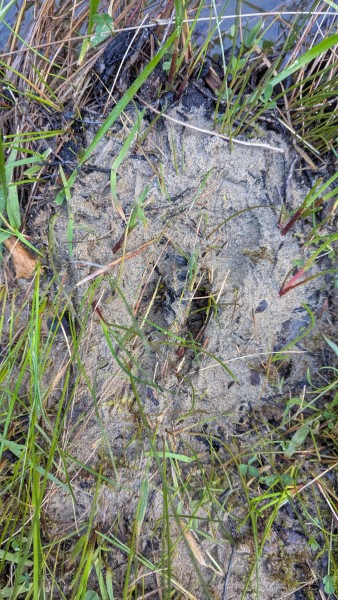 Name:  13.jpg
Views: 332
Size:  114.9 KB