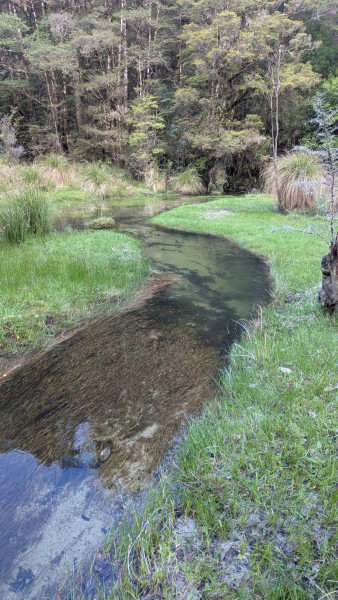 Name:  11.jpg
Views: 333
Size:  97.6 KB