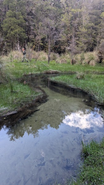 Name:  10.jpg
Views: 333
Size:  79.7 KB