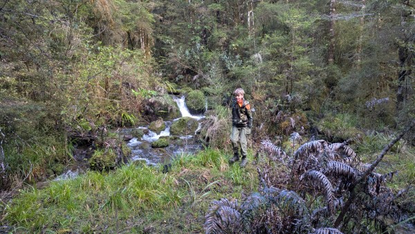 Name:  9.jpg
Views: 335
Size:  107.9 KB