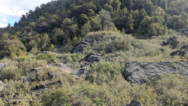 Name:  7.jpg
Views: 334
Size:  100.8 KB