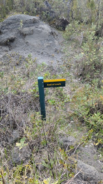 Name:  5.jpg
Views: 337
Size:  113.1 KB