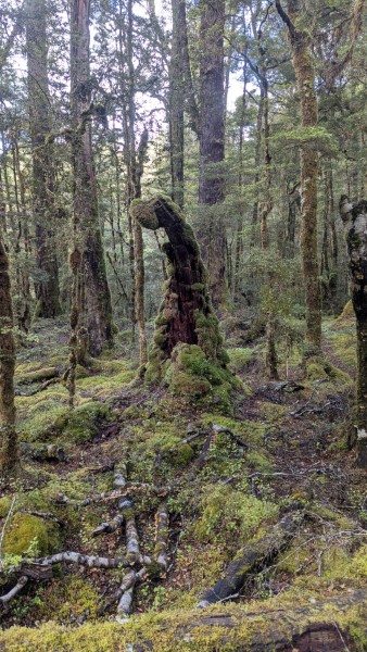 Name:  3.jpg
Views: 333
Size:  109.5 KB