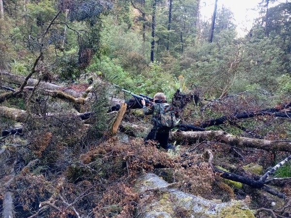 Name:  14.1.jpg
Views: 336
Size:  148.7 KB