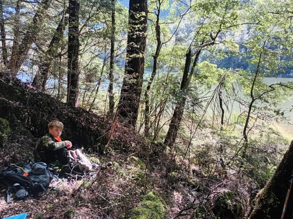 Name:  20.1.jpg
Views: 336
Size:  161.7 KB