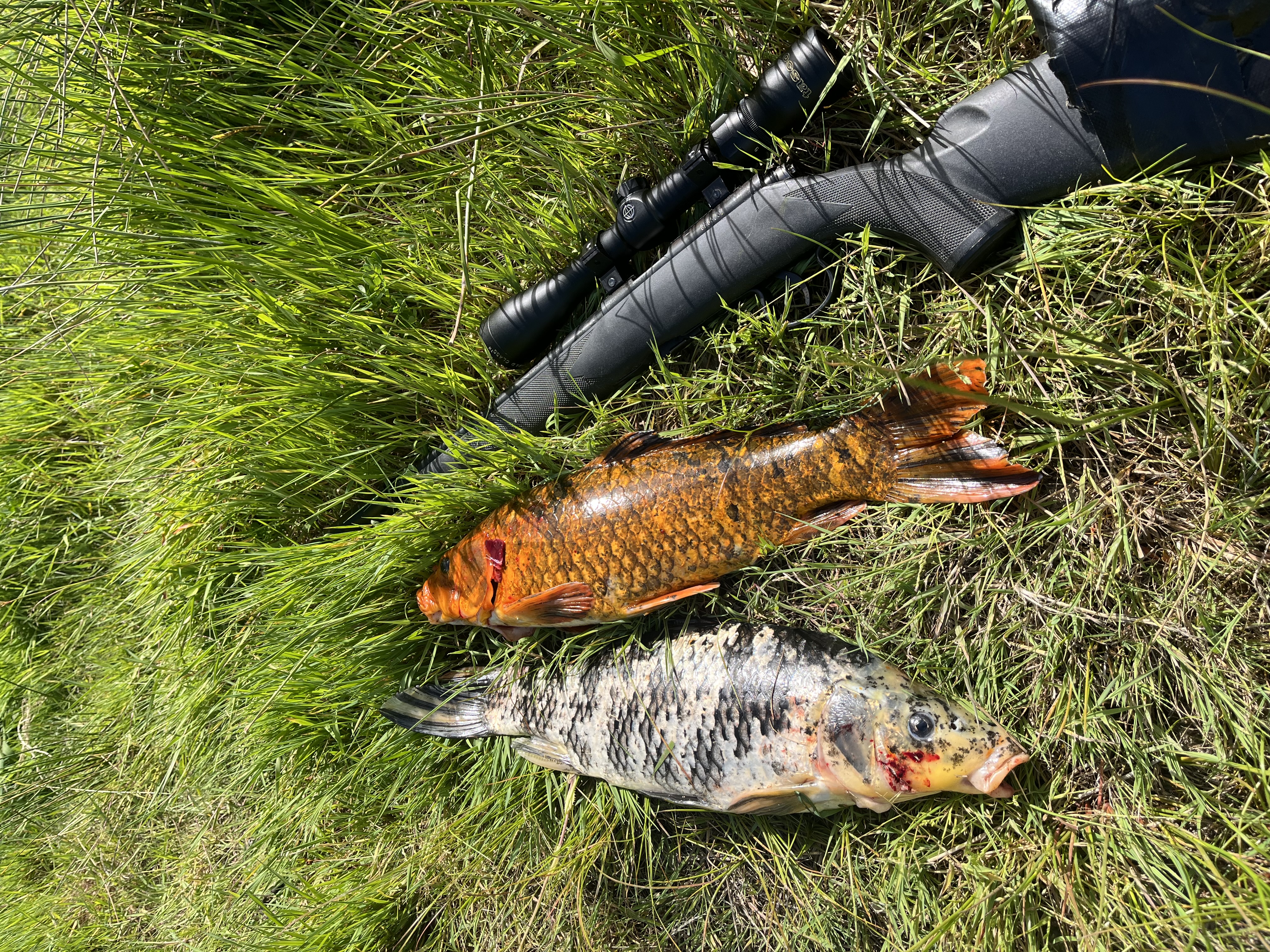 Name:  IMG_7014.jpeg
Views: 253
Size:  7.23 MB