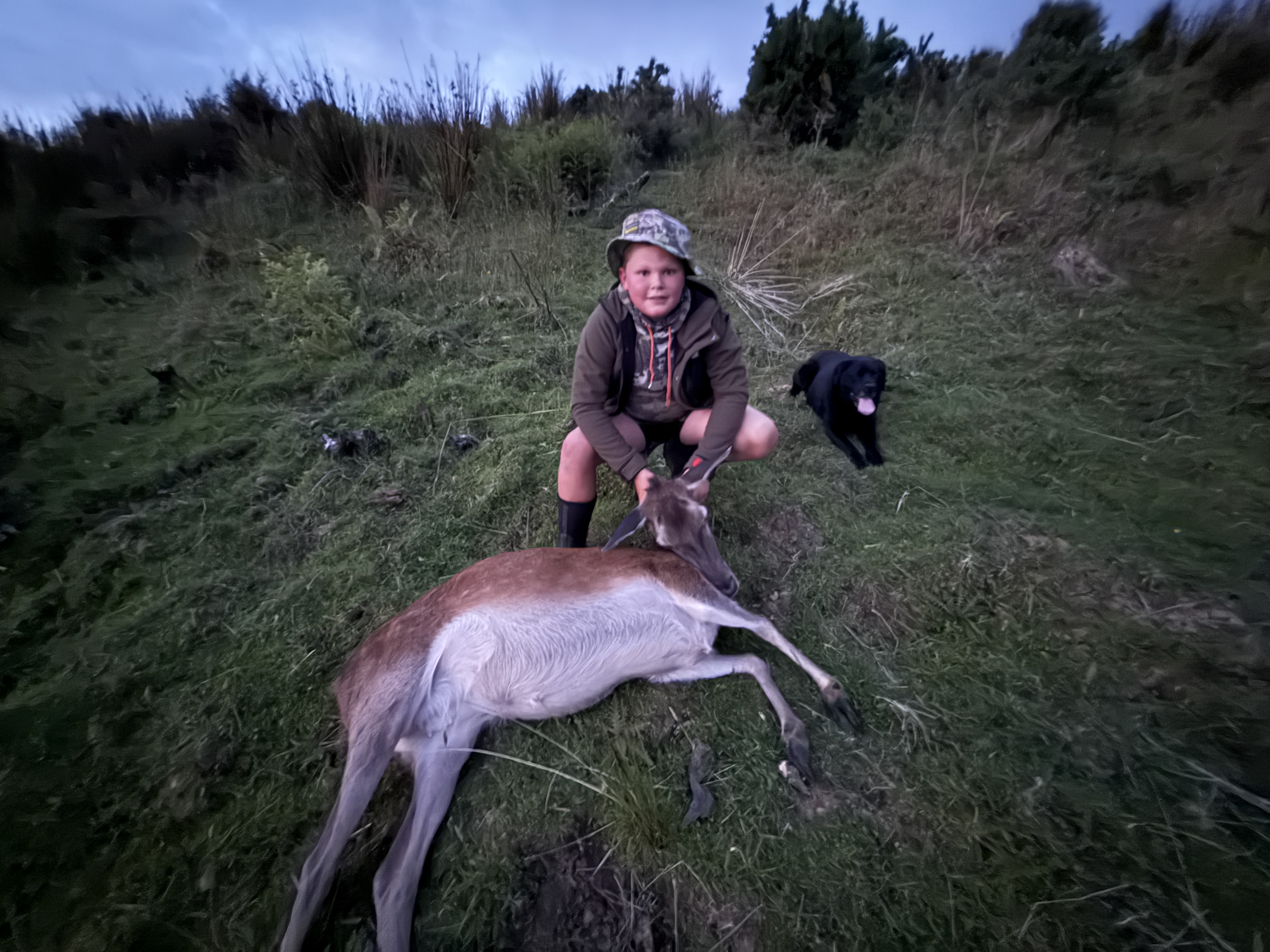 Name:  IMG_0867.jpeg
Views: 335
Size:  2.19 MB