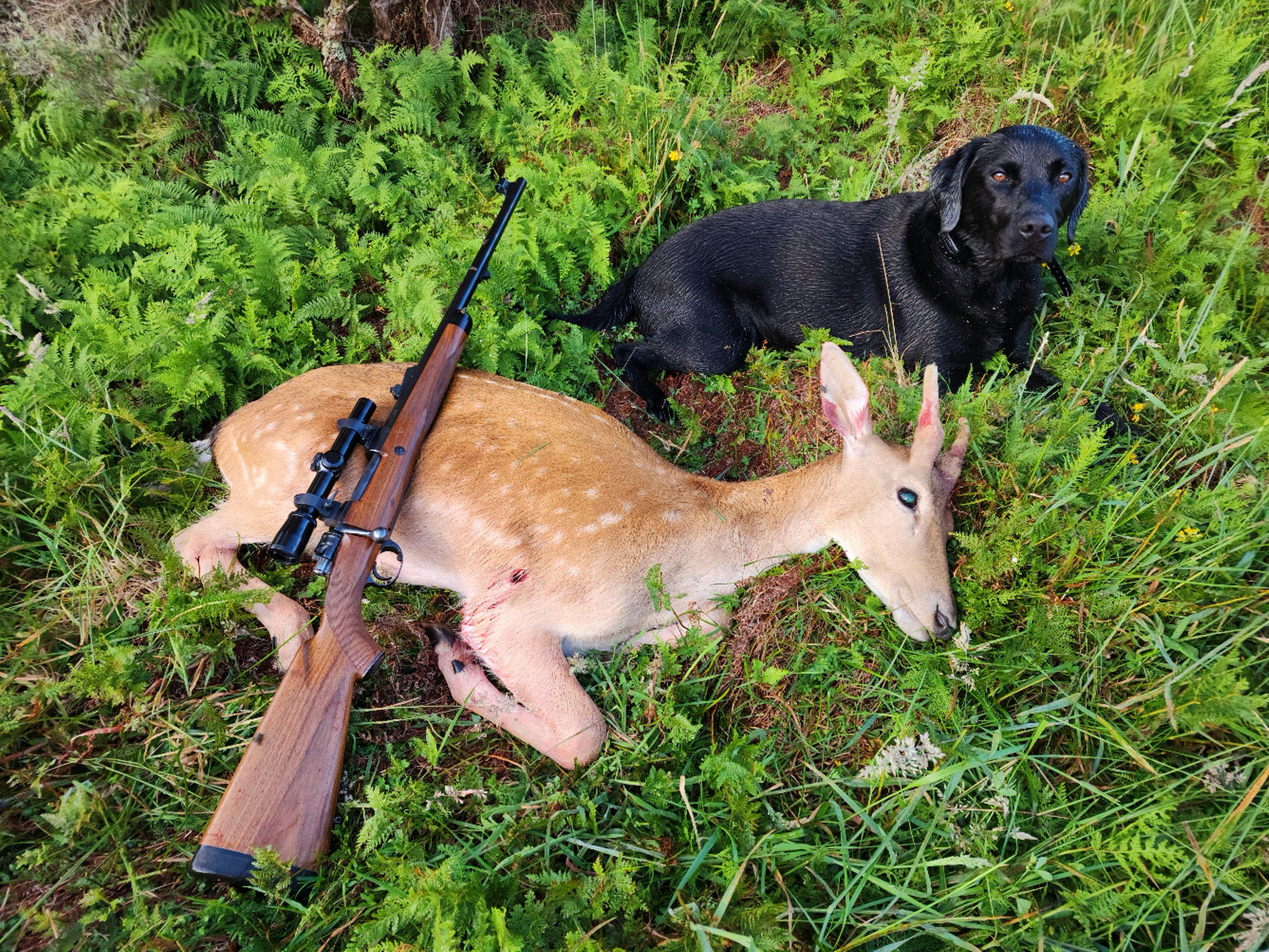 Name:  20260106_063124.jpg
Views: 504
Size:  2.14 MB